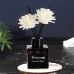 Blackweiss Essential Oil Reed Diffuser With Glass Bottle - Elegant Aroma Dispenser For Home Fragrance Freshener For Living Room 
