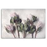 Pale Proteas 5 Art Print - 100CM X 150CM No Frame Print Only
