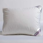 100% Hungarian Down Baby Pillow
