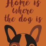Finesse Pet Blanket - Guard Dog Choc amber - 100 X 120 Cm