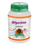 Willow Glycine 60 Capsules