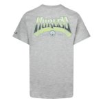 Hurley Boys Griffin T-Shirt Grey Hea