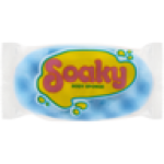 Body Sponge