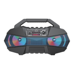 Boomer FTS-182 4"2 Double Bt Speaker