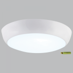 Emergency Light CF132