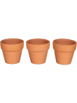 Terracotta Pots - None Assorted