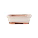 Assorted Glazed Bonsai Pots 6" - Ivory Rectangular 16 X 12 X 5CM