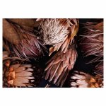 Golden Browns Proteas Rectangular Placemat