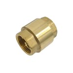 Valve Non Return Brass 1”