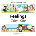 My First Bilingual Book - Feelings cam Xuc V e