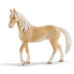 Horse Club - Akhal-teke Stallion