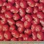 100% Tton PTD-57 Tomatoes