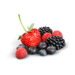 Forrest Mix Forest Fruit Concentrate - 100ML
