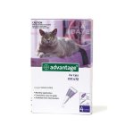 Cat & Rabbit Flea Treatment - Large