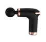 Dw Portable MINI Massage Gun With 6 Speeds With 4 Massage Heads - BX760