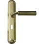 Solid Brass Lever Handle On Back Plate