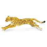 Cheetah -