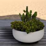 Rustic Bowl Japi Planter Off White Lead - Lead
