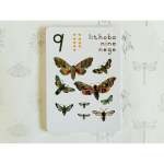 Autumn Number Cards 11 Cards