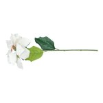White Tall Poinsettia Bush 67X22CM