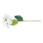 White Tall Poinsettia Bush 67X22CM