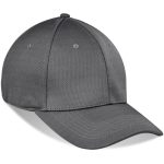 ACE Fitted Cap 6 Panel