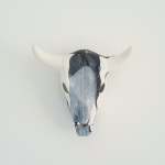 Cow Skull Medium - Big Bang