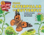 From Caterpillar To Butterfly Paperback