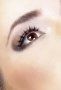 Black Premium Eyelashes