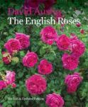 The English Roses Hardcover