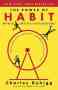 The Power Of Habit - Charles Duhigg   Paperback  