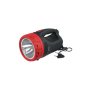 2 In 1 Torch Lantern