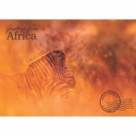 Disposable Placemats - Greeting Zebra Stamp