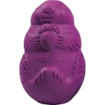 Busy Buddy Small Squirrel Dude Dog Toy Interactive Toy Waggs Pet Shop