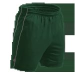 Brt Reflect Shorts