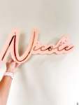 Double Layered Wood & Acrylic Name Plaque Mirror Colour Acrylic - Large 30CM High 12