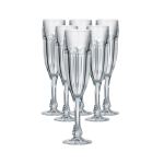 Bohemia 6 Piece Crystal Safari Champagne Glass Set Clear