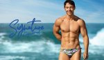 Signature Brief Daintree