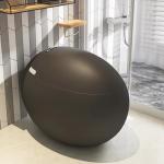 Modern Capsule Smart Toilet- Black