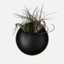 Pod Wall Planter - Black - Large