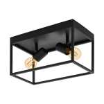 Silentina Steel Ceiling Light Black Two Lights