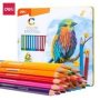Color Emotion Coloured Pencils Set 24 Colours