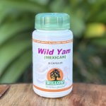 Willow Wild Yam 50 Capsules