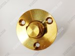 Brass Drain Plug & Plate Garboard