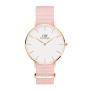 Petite Rosewater Rose Gold Watch 36MM
