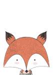 Fox- Canvas Print - 600MM X 600MM