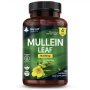 Mullein Leaf 120 Capsules