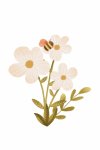 Daisy And Bees 2 Canvas Print - 600MM X 600MM