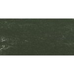 Soft Pastel - Warm Greenish Gray 170