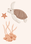 Turtle" - Wall Art Print - A1